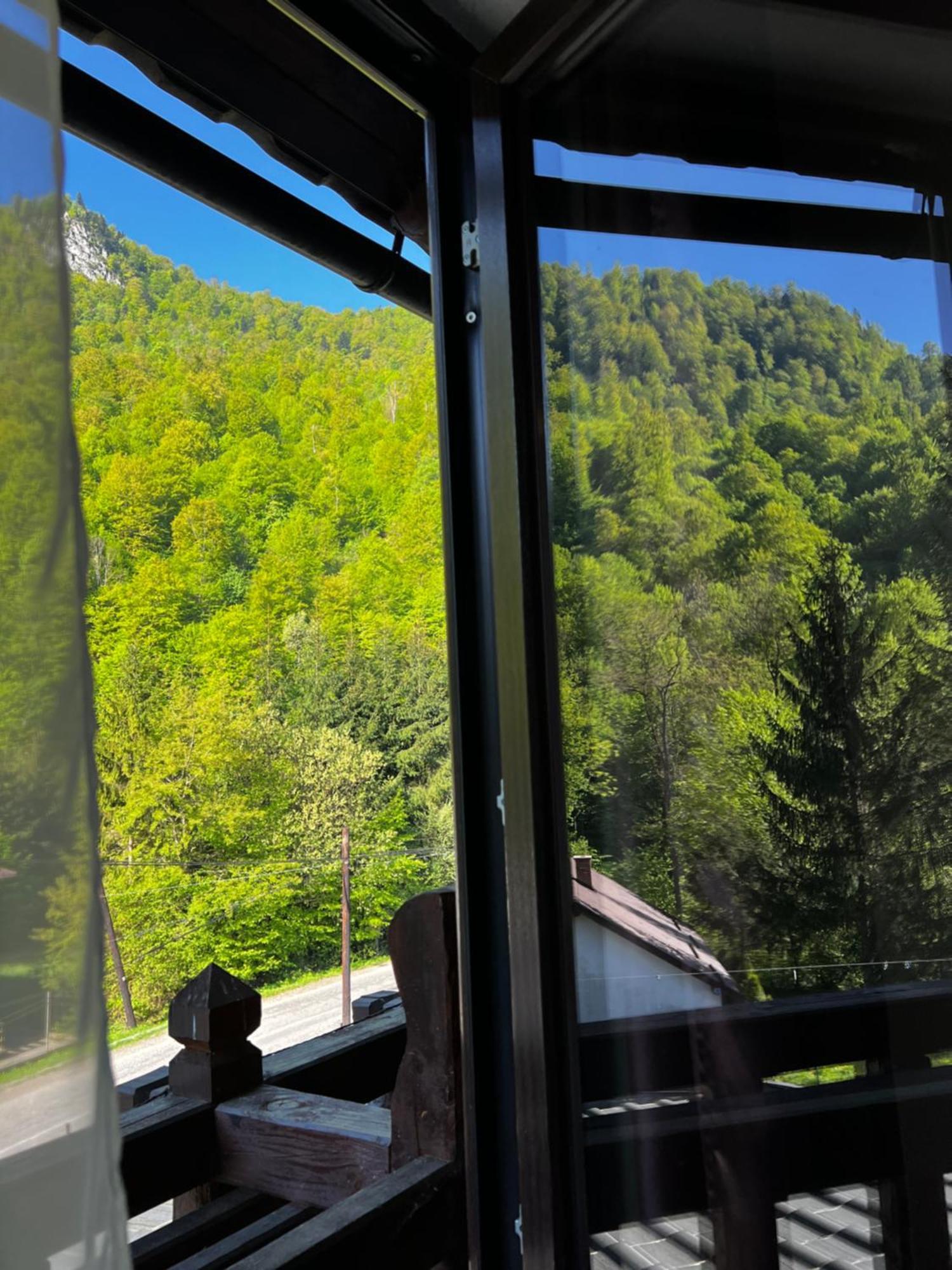 Pensiunea Roxana Valea Viseului Esterno foto